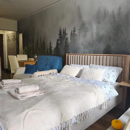 20 Aparthotel Ustron