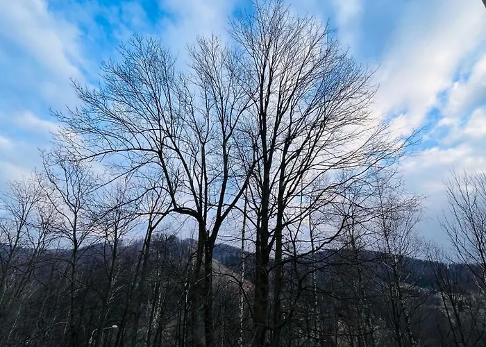 20 מלון דירות אוסטראון